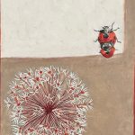 Mating-Ladybirds