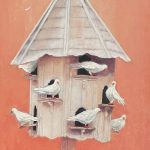 Doves at Home